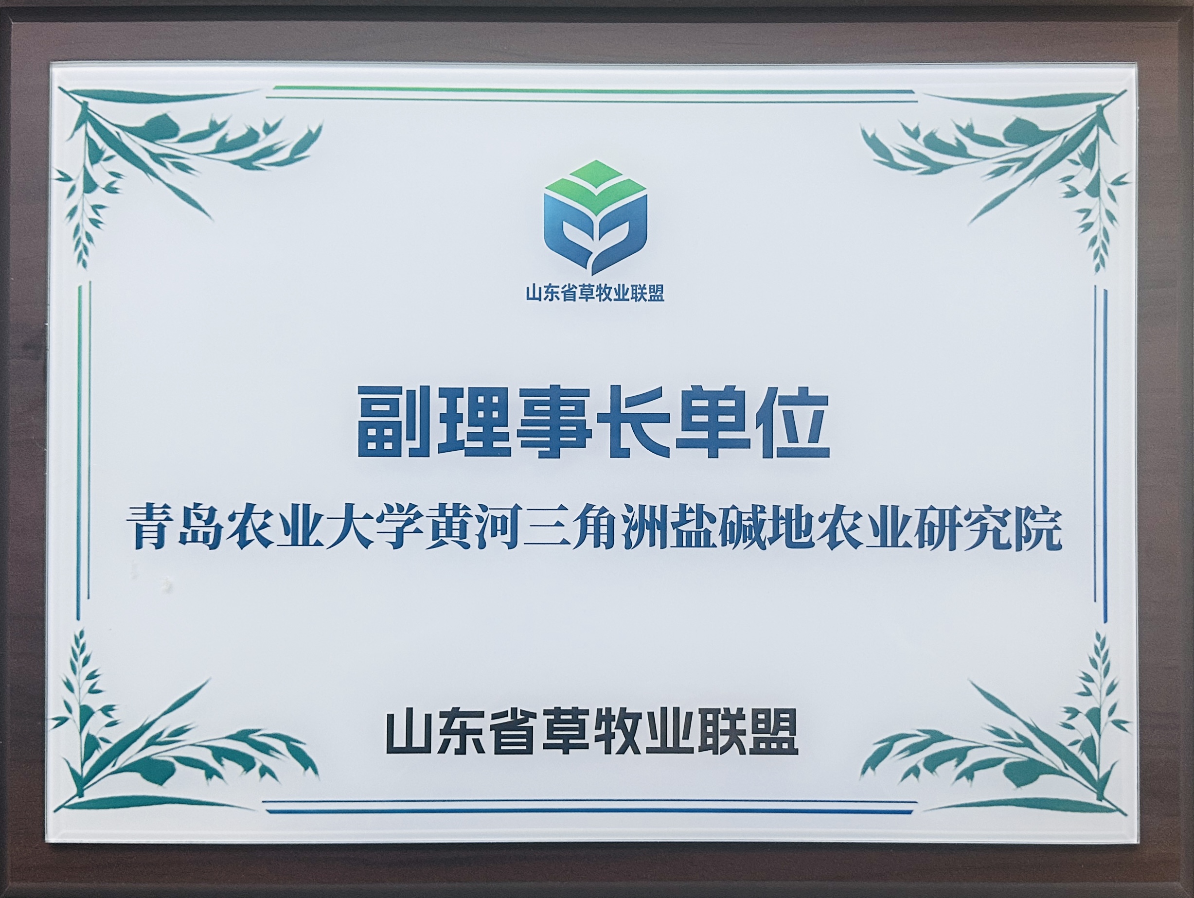 青岛农业大学黄河三角洲盐碱地农业研究院当选山东省草牧业联盟副理事长单位